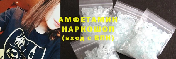 гидра Богородск