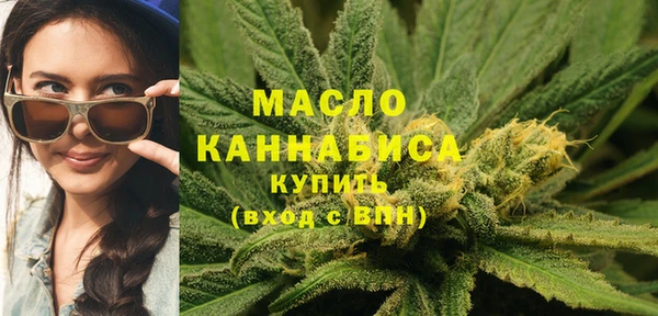 гидра Бронницы