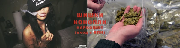 гидра Богородск