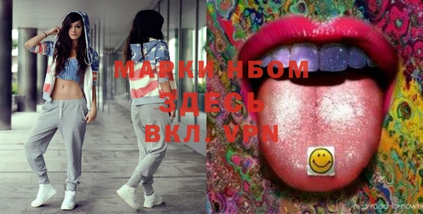 дурь Бородино