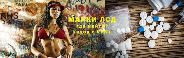 дурь Бородино