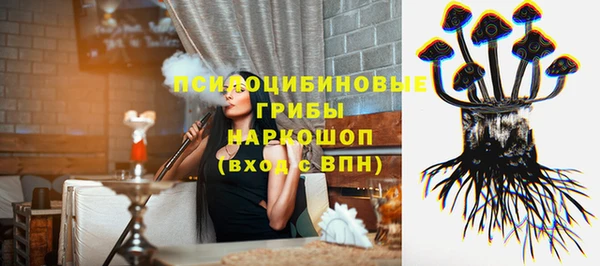 дурь Бородино