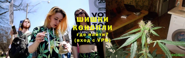 дурь Бородино