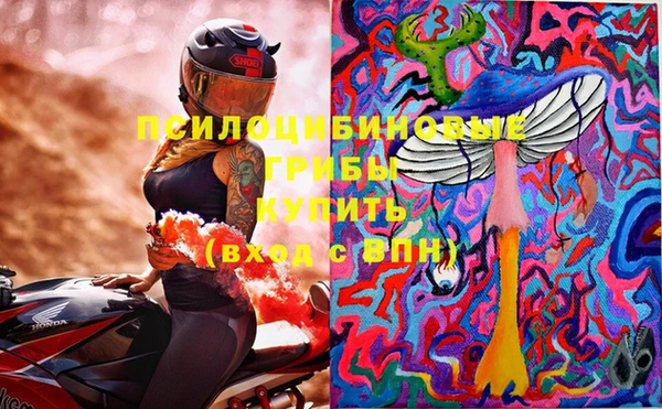 mdma Богородицк